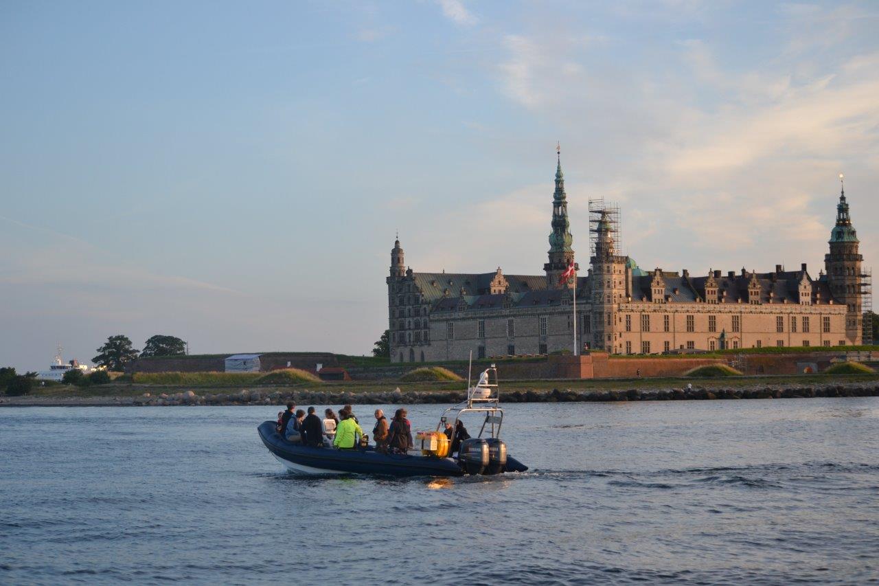 Øresundsakvariet melder sig ind i Elsinore 2032: Natur, hav og kultur skal spille en vigtig rolle i kulturhovedstadsambitionen